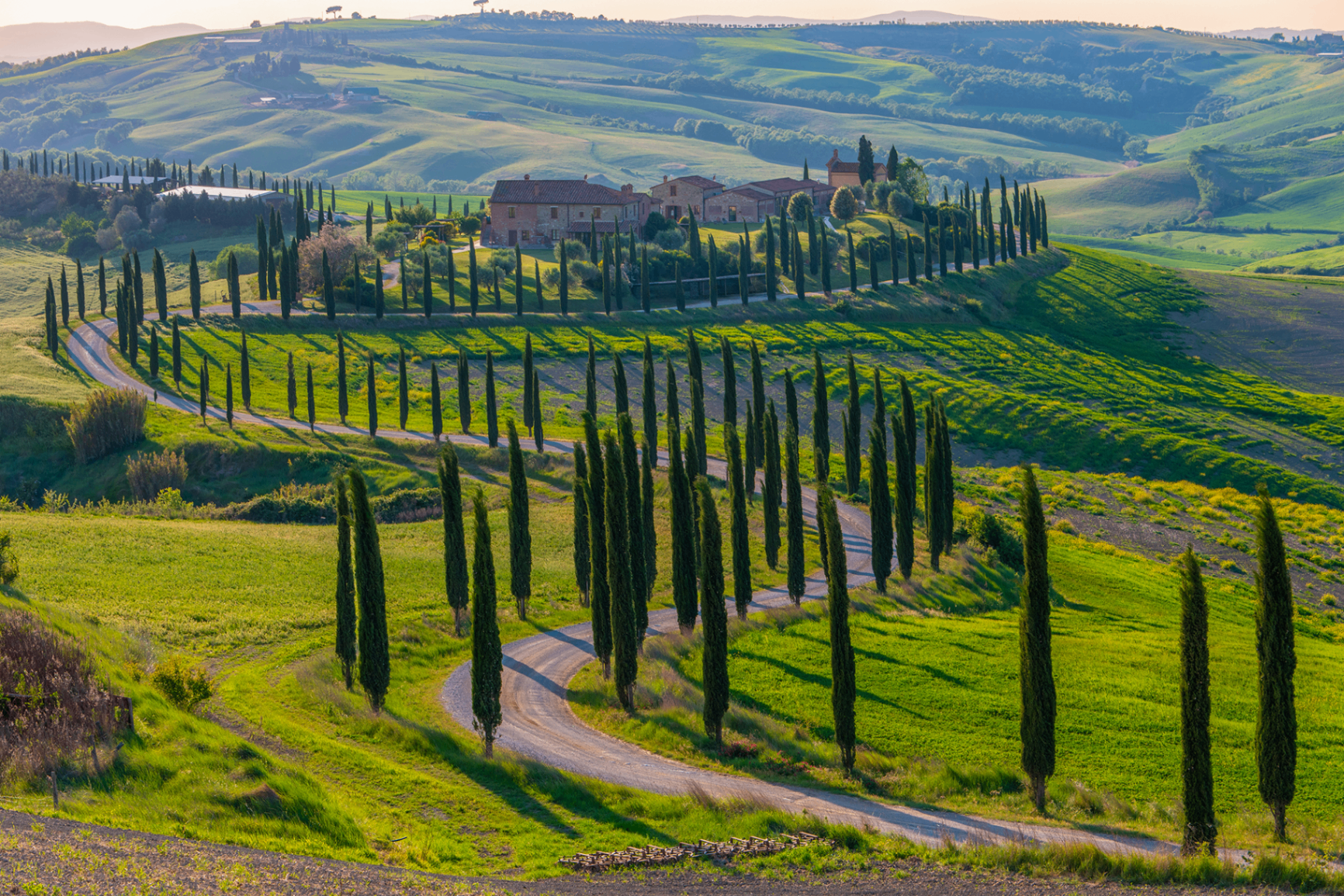 Tuscan villa with cypress-lined road at golden hour